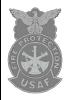5a - All Silver Assistant Chief Metal Badge